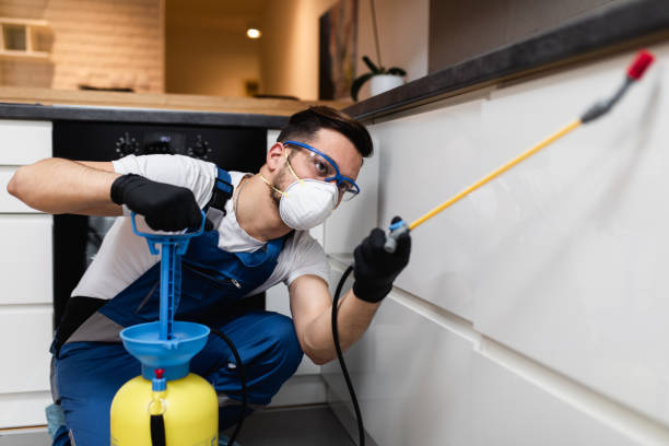 Best Wasp Removal Services  in Silver Lake, KS