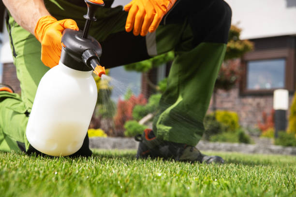 Best Flea Control Services  in Silver Lake, KS