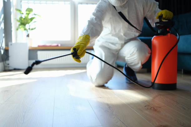 Flea Control Services in Silver Lake, KS