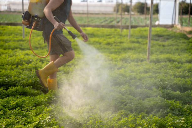 Best Mosquito Control Services  in Silver Lake, KS
