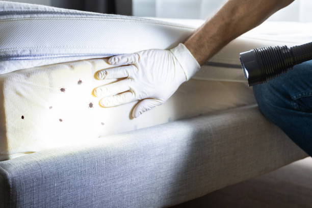 Best Pest Prevention Services  in Silver Lake, KS