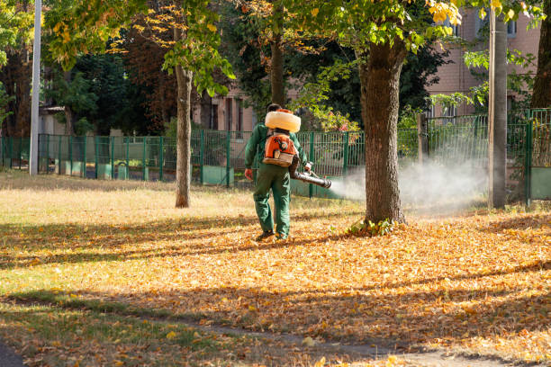 Best Termite Control Services  in Silver Lake, KS
