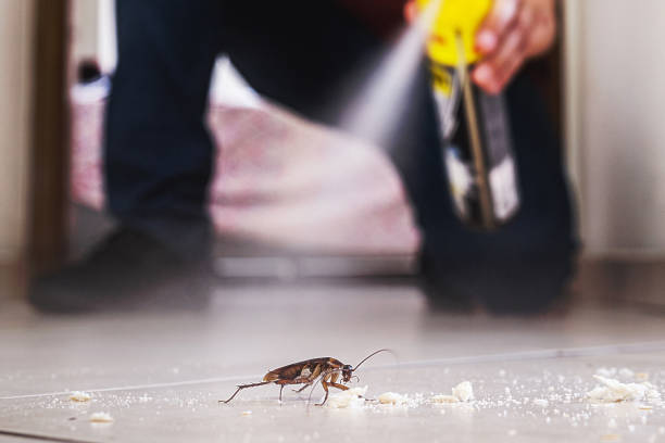 Best Cockroach Control Services  in Silver Lake, KS
