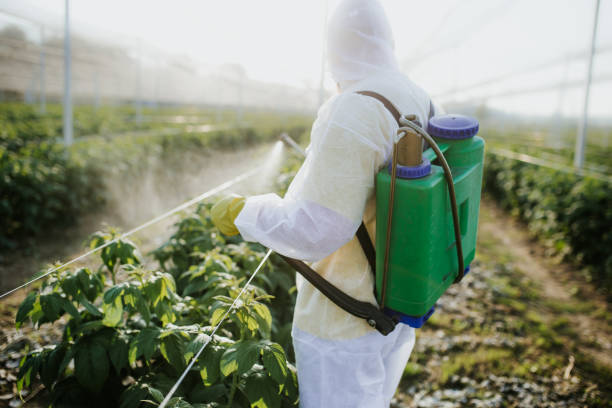 Best Commercial Pest Control Services  in Silver Lake, KS